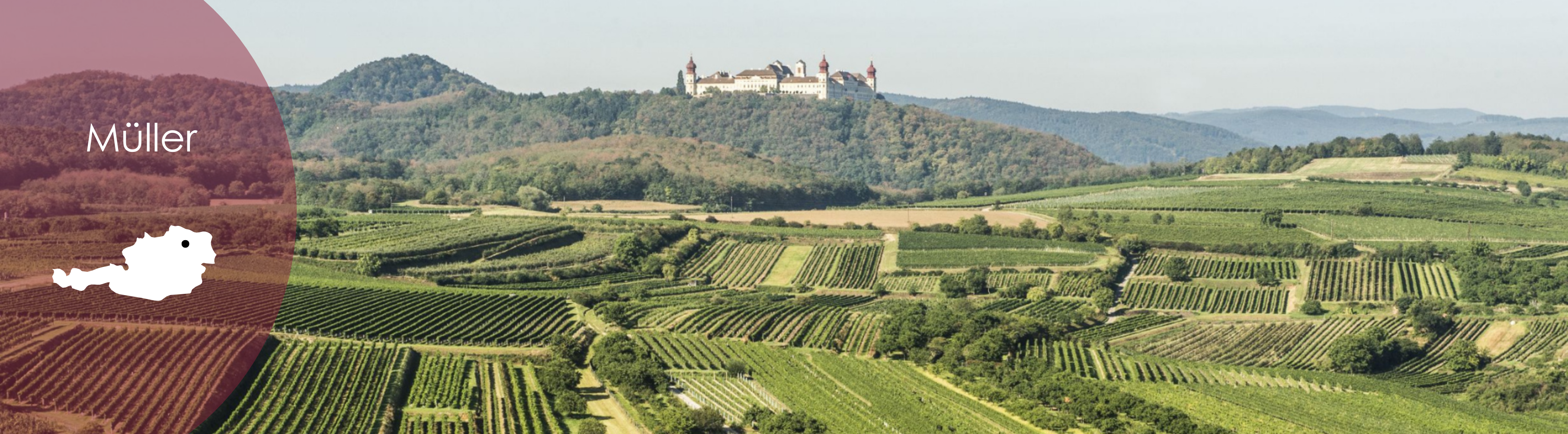 Müller