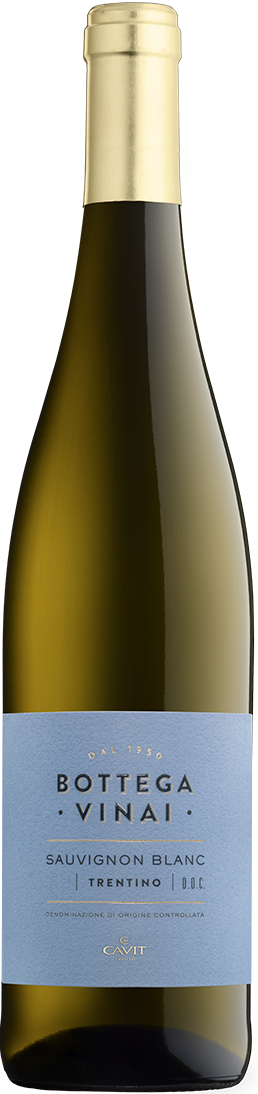 Sauvignon Blanc Trentino DOC  Bottega Vinai Trentin Weißwein trocken
