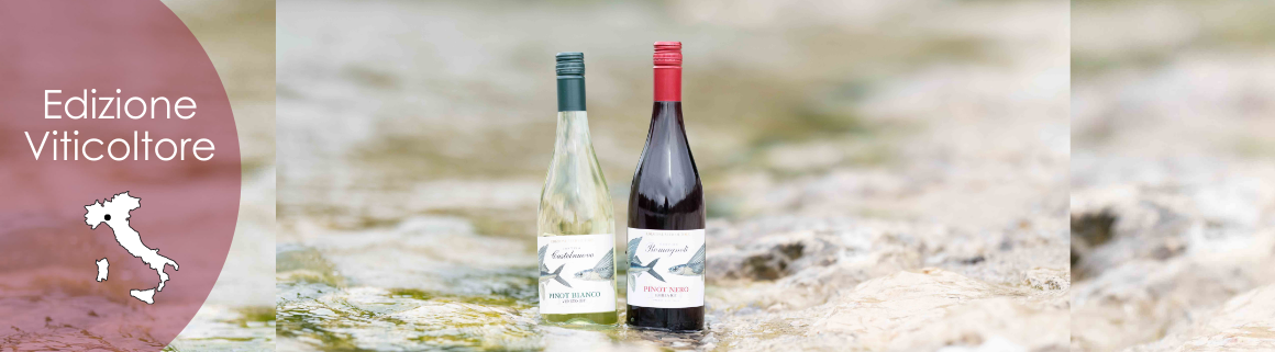 Edizione Viticoltore