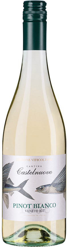 Pinot Bianco Veneto IGT - Edizione Viticoltore Venetien Weißwein trocken