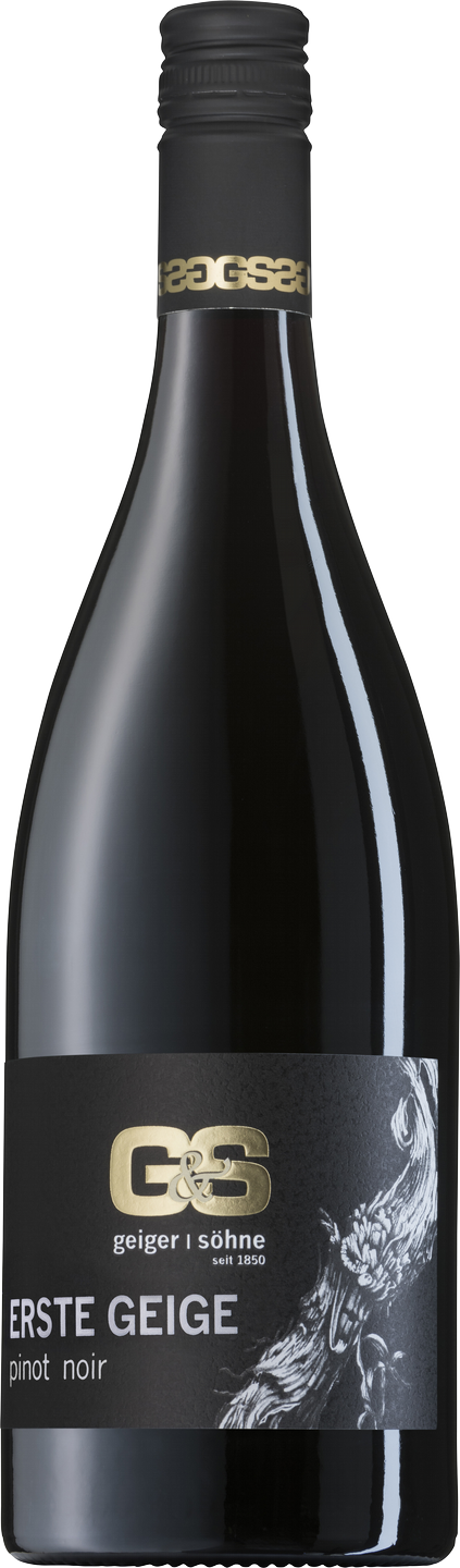 Geiger und Söhne Erste Geige Pinot Noir QbA Franken Rotwein trocken