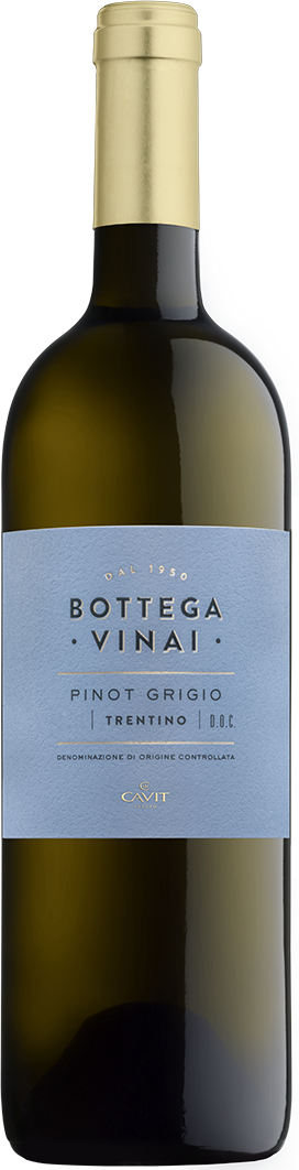Pinot Grigio Trentino DOC Bottega Vinai Trentin Weißwein trocken