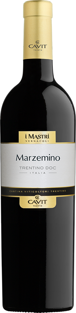 Marzemino Trentino DOC Mastri Vernacoli Cavit Trentin Rotwein trocken