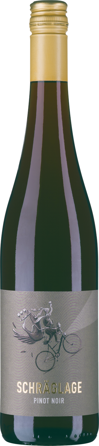 Schräglage Pinot Noir QbA trocken Pfalz Rotwein