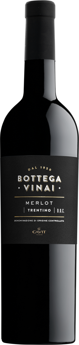 Merlot Trentino DOC  Bottega Vinai Trentin Rotwein trocken