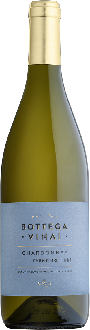 Chardonnay Trentino DOC  Bottega Vinai Trentin Weißwein trocken