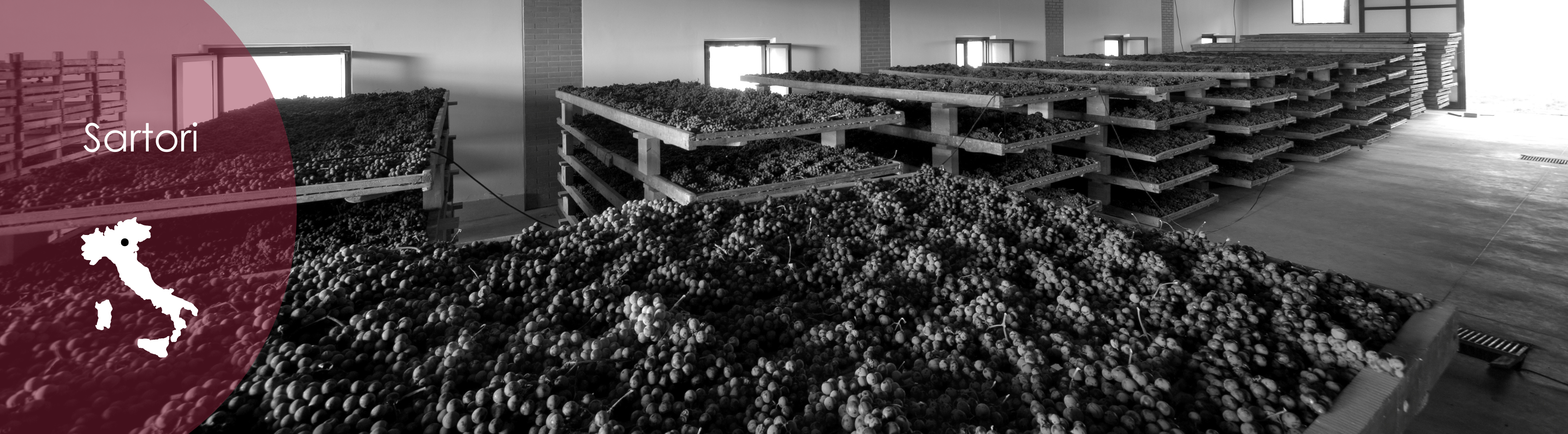Sartori