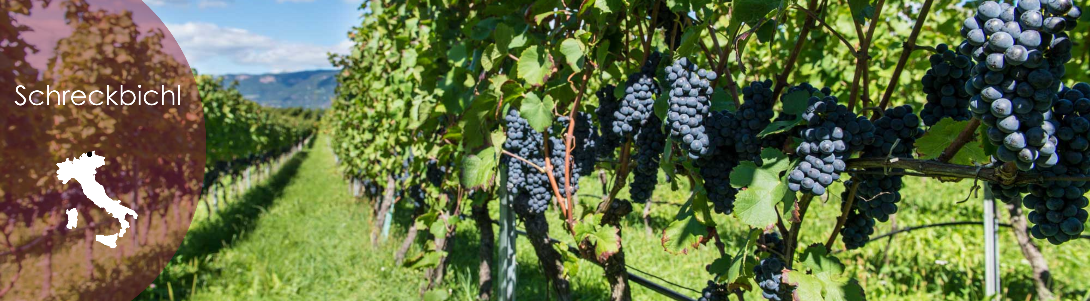 Schreckbichl