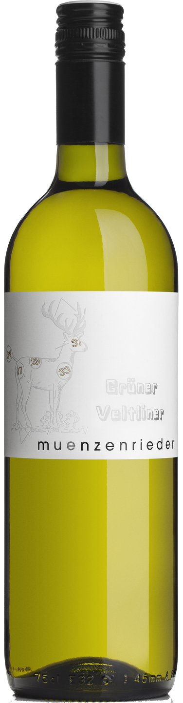 Grüner Veltliner QUW Münzenrieder Burgenland Weißwein trocken