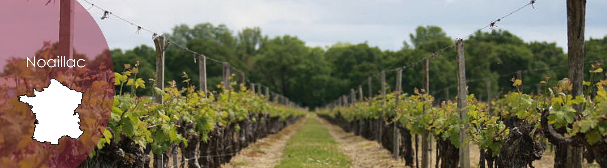 Noaillac