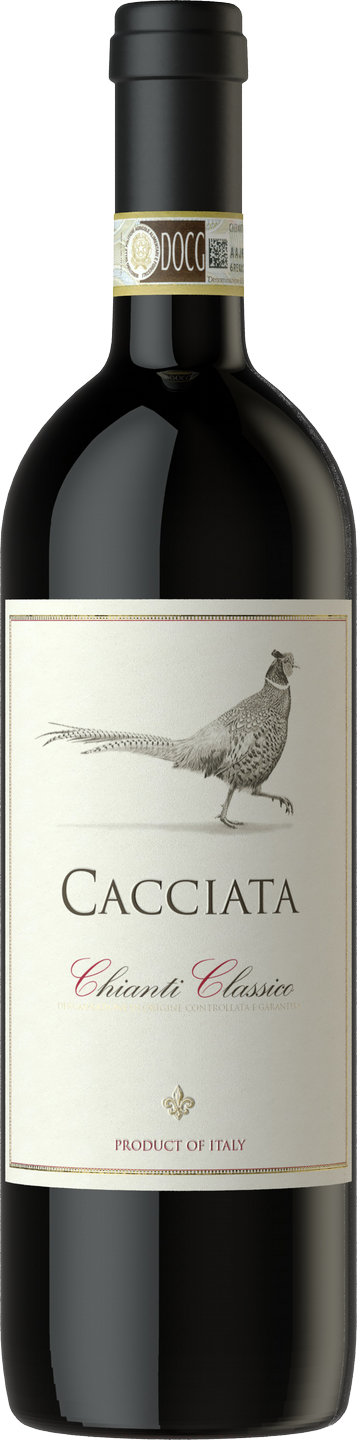 Chianti Classico DOCG Cacciata Castellani Toskana Rotwein trocken
