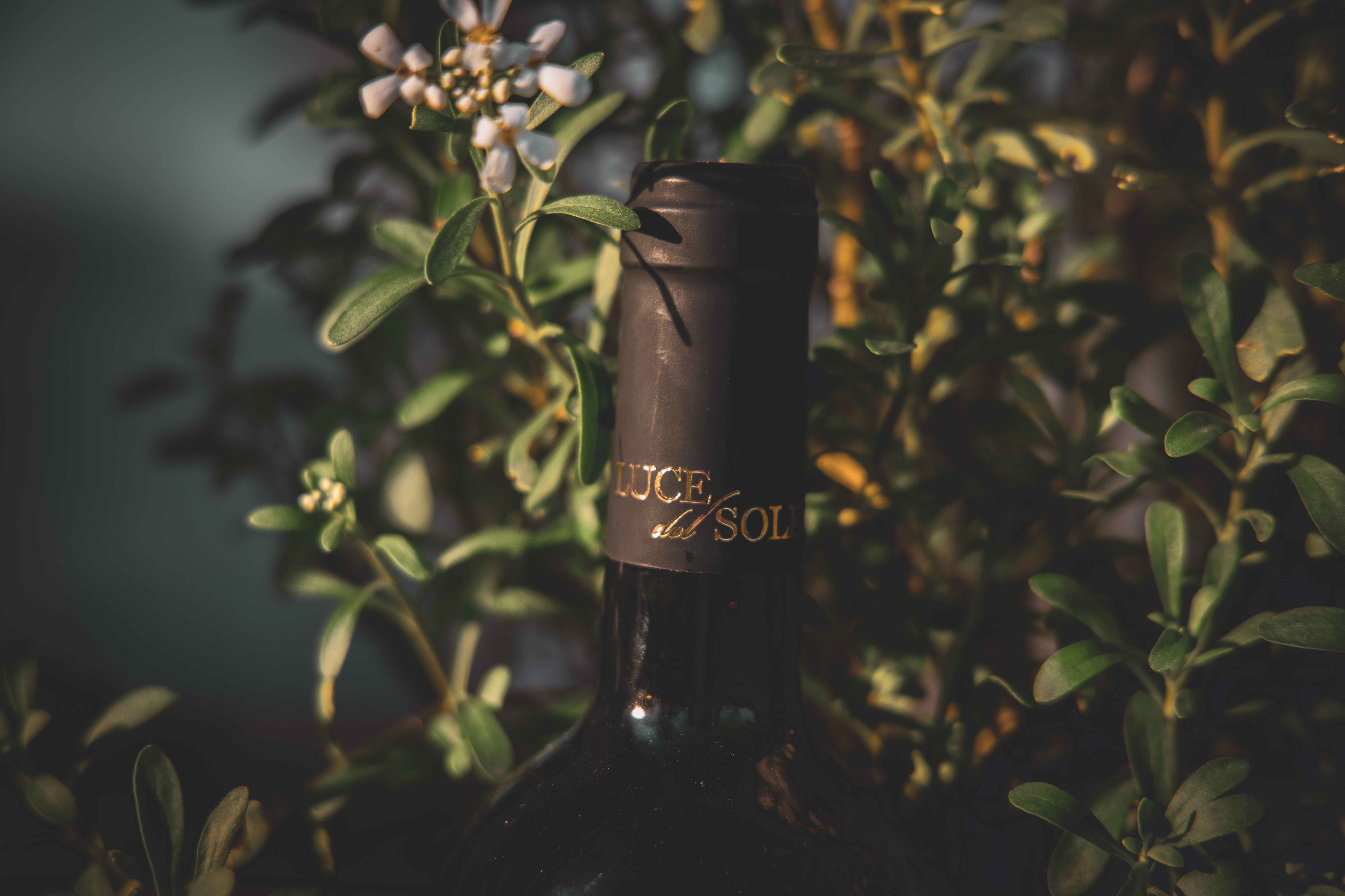 Nahaufnahme eines edlen Weins mit schwarzem Flaschenhals und goldener Prägung 'Luce del Sole', umgeben von grünen Blättern und weißen Blüten im sanften Licht.