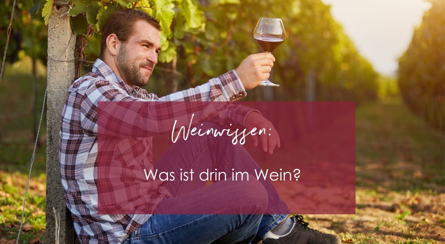 Was ist drin im Wein?