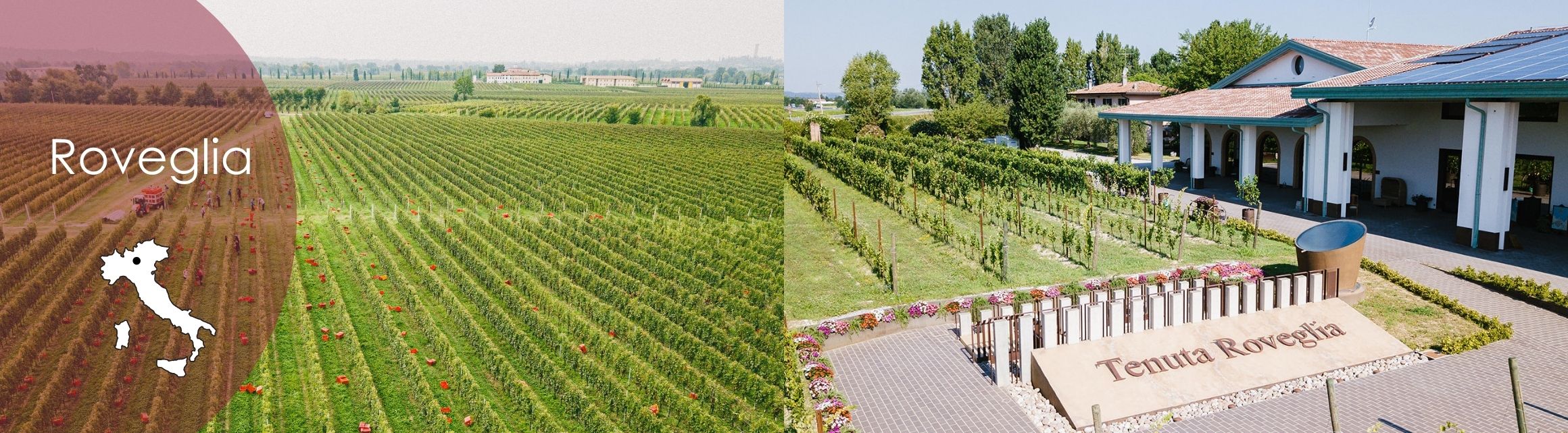 Roveglia