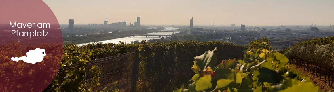 Mayer am Pfarrplatz