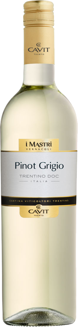 Pinot Grigio Trentino DOC Mastri Vernacoli Cavit Trentin Weißwein trocken