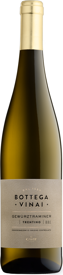 Gewürztraminer Trentino DOC  Bottega Vinai Trentin Weißwein trocken