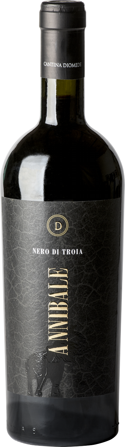 Annibale Nero di Troia Appassito Puglia IGP Diomede Rotwein halbtrocken