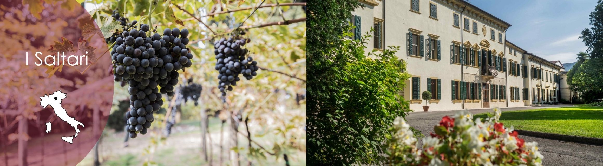 I Saltari
